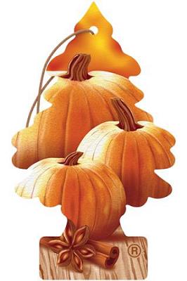 Little Trees Card WARM PUMPKIN SPICE 24 count