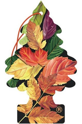 Little Trees Card CRISP AUTUMN AIR 24 count