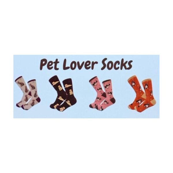 Life Is Better Pet Lover Socks 126ct Display