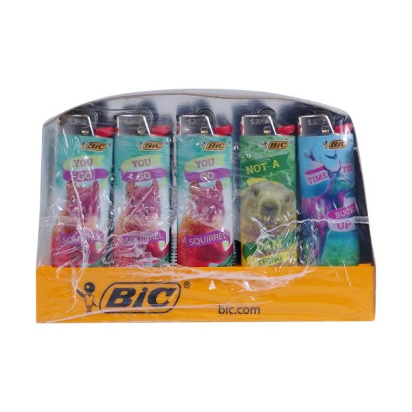A BIC 6-pack display of novelty paper lighters under clear plastic wrapping, featuring colorful designs with phrases like 'YOU SO', 'SQUIRREL', and 'NOT A TIME WASTING SQUIRREL'.