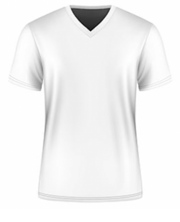 Alyas T shirt V-Neck 6 ct