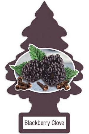 Car Freshener Little Trees-BlackBerry Clove-1 pack | 24 pc-076171173430-Reval Distributor