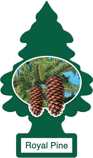 Car Freshener Little Trees-Royal Pine-1 pack | 24 pc-076171101013-Reval Distributor