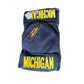 Michigan Beanie 12-Pack
